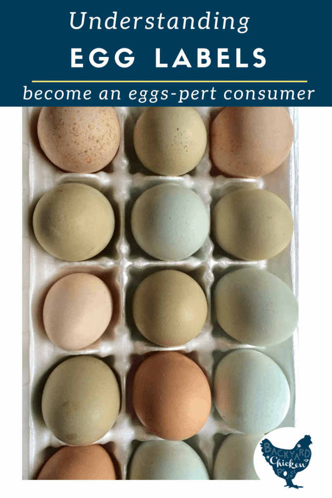 Understanding Egg Labels Decoding the Grocery Store Egg Carton