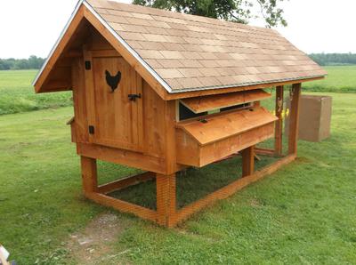 Natural wood chicken coop with egg boxes