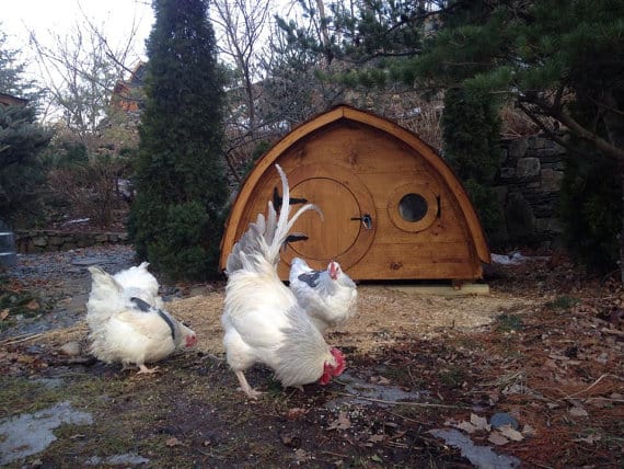 A chicken coop that looks like a hobbit home.