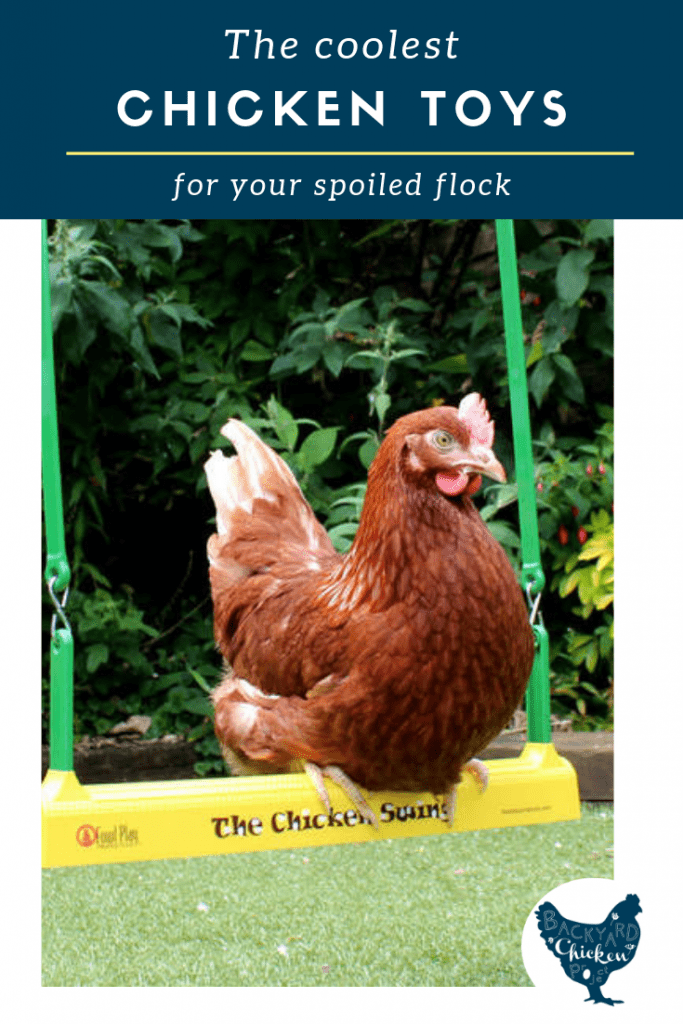 The Coolest Chicken Toys for your Spoiled Flock Backyard Chicken Project