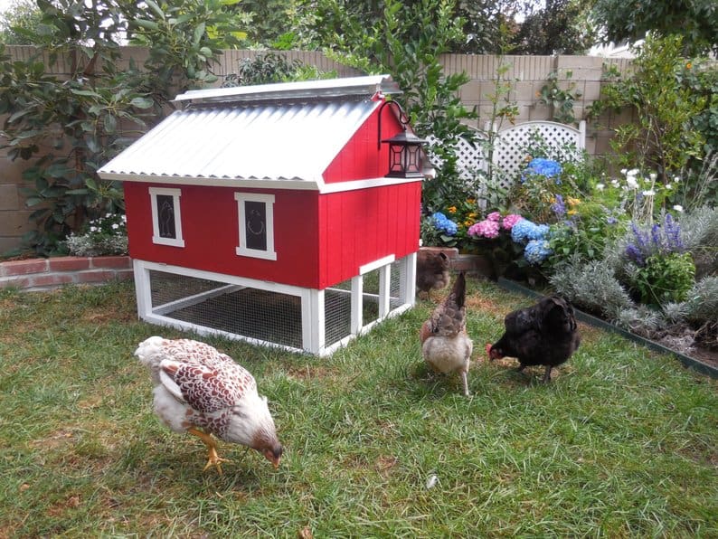 If the thought of building a chicken coop from scratch has you down, this one's for you! We found 8 beautiful and easy to assemble chicken coop kits available on Etsy!
