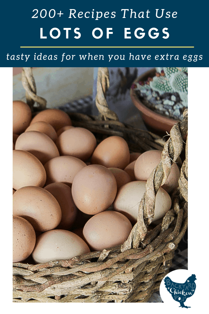 200+ Recipes that Use a LOT of Eggs