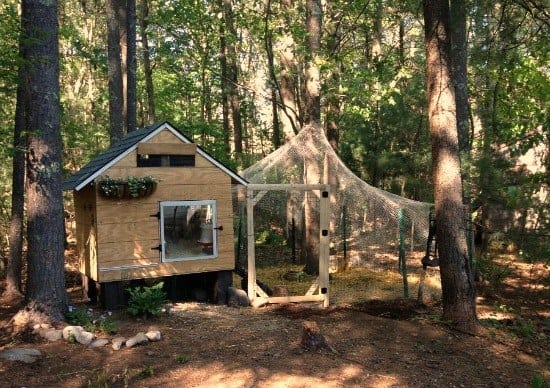 A chicken coop in the woods.
