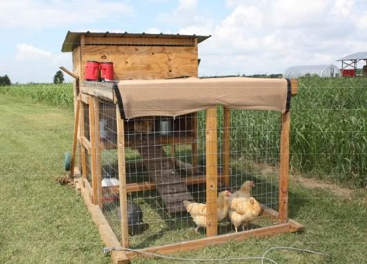 A chicken coop with chickens inside.