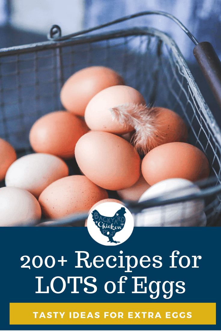 200 Recipes That Use A Lot Of Eggs