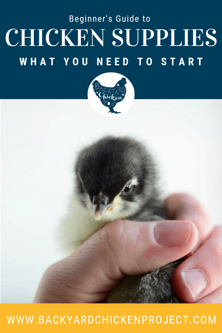 Essential Beginner Chicken Supplies Backyard Chicken Project