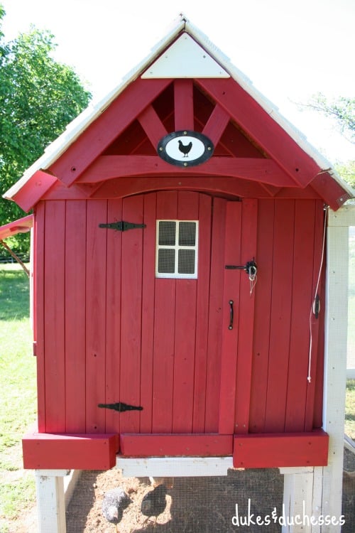 Urban chicken coop plans come in all shapes and sizes, from functional to fancy! Find your perfect DIY chicken coop today!