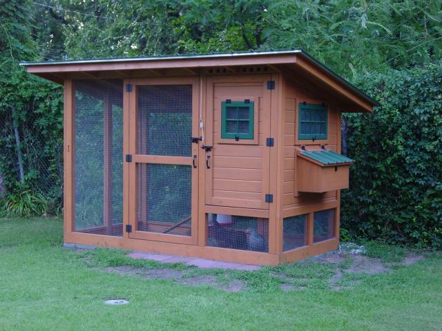 Urban chicken coop plans come in all shapes and sizes, from functional to fancy! Find your perfect DIY chicken coop today!