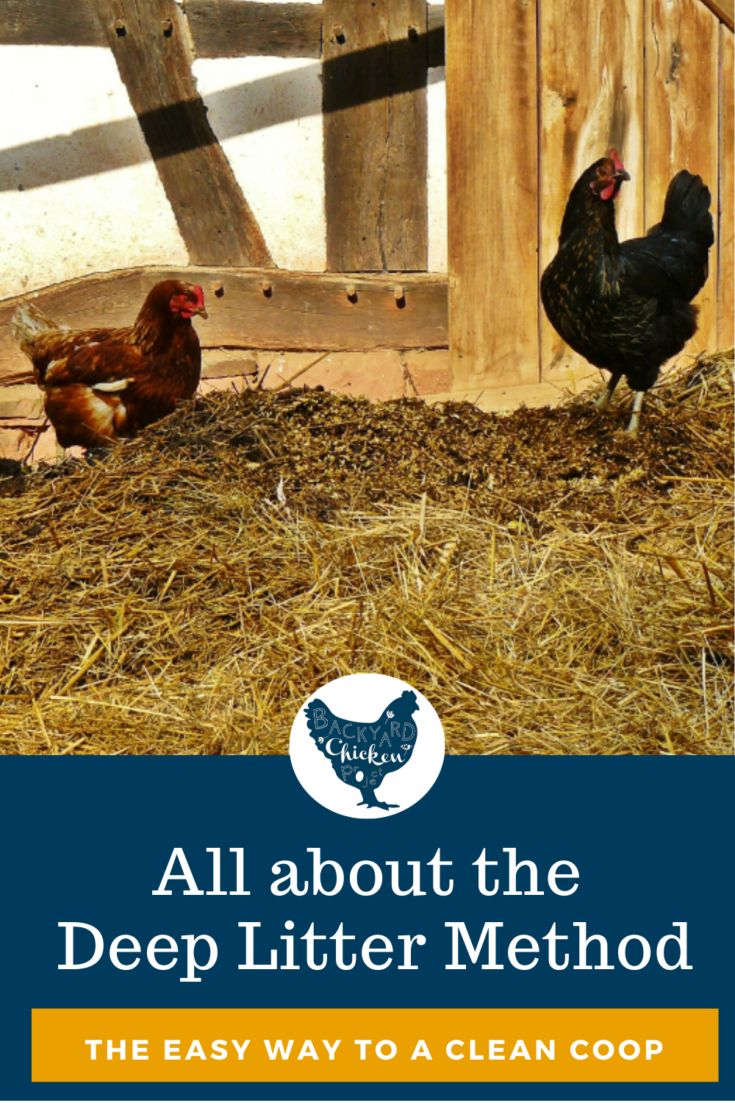 How to Start the Deep Litter Method in your Chicken Coop, and why it’s
