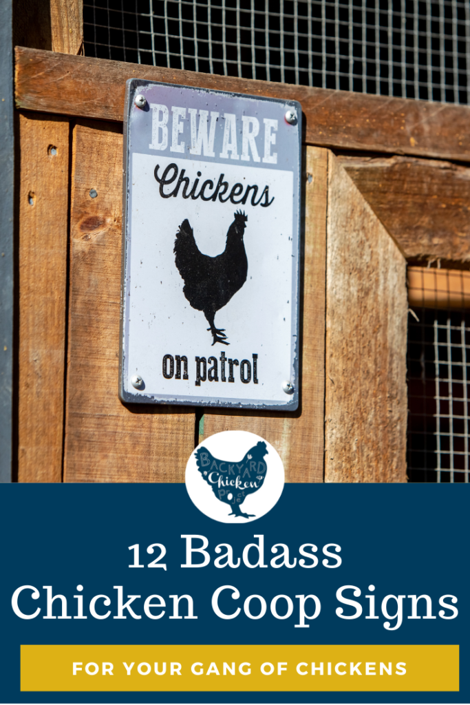 CHICKENS SIGN PERSONALISED HEN SIGN GARDEN SIGN OUTDOOR SIGN CHICKEN FEED GIFTS