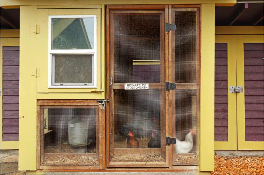 A chicken coop with chickens inside. 