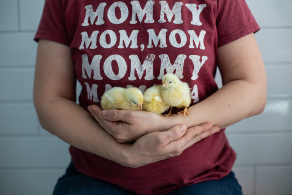A woman with a tshirt that said mommy all over it holding yellow chicks. 