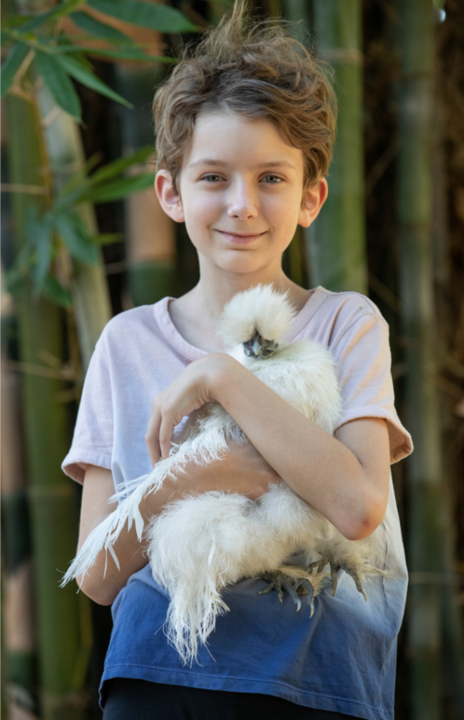 A young girl holding a white silkie chicken. 