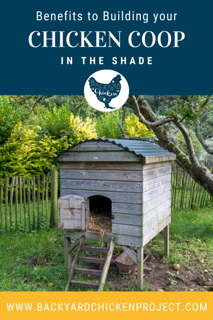 A small chicken coop under a tree. 
