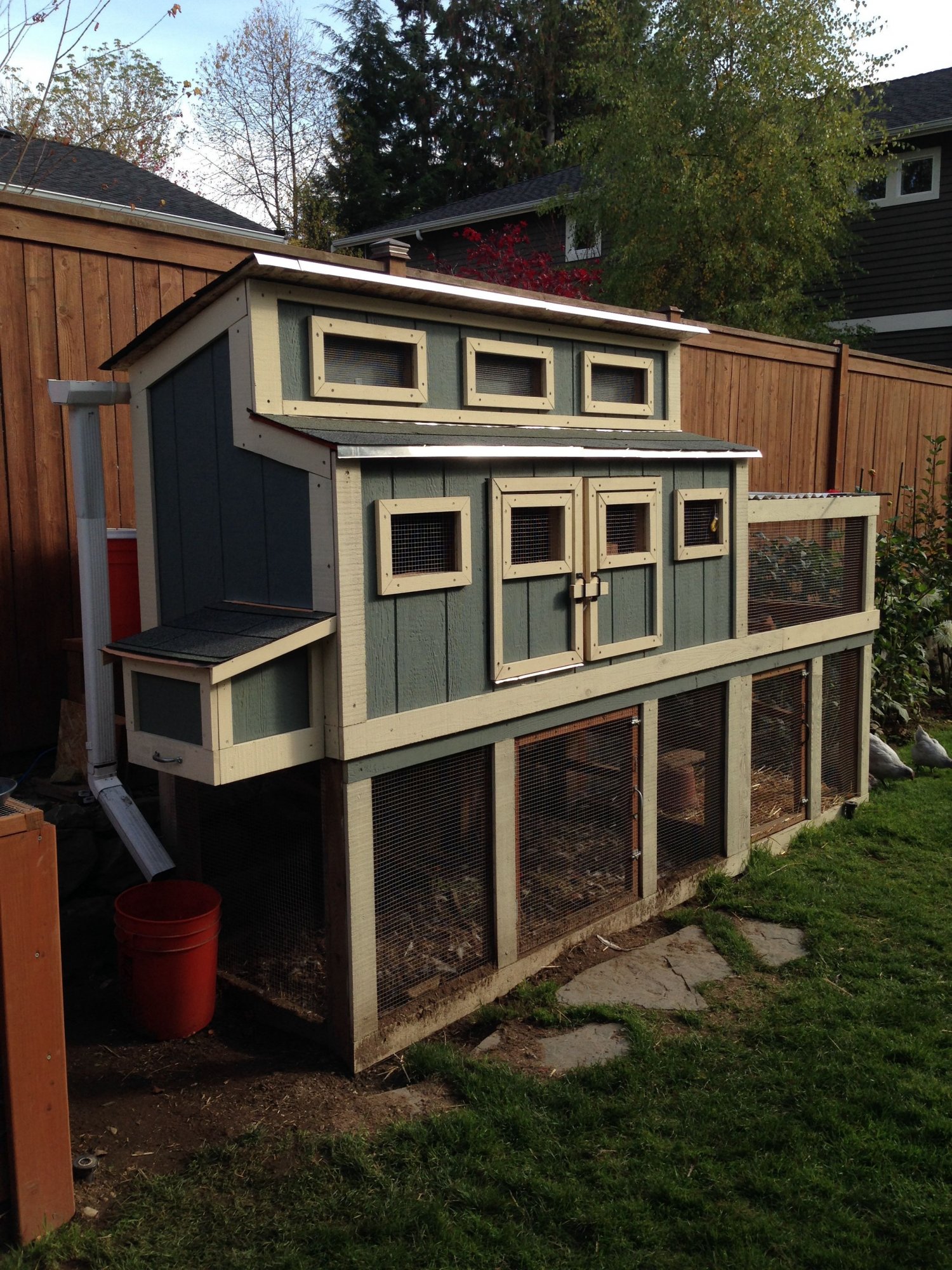 large elevated backyard chicken coop with enclosed run and multiple windows for ventilation