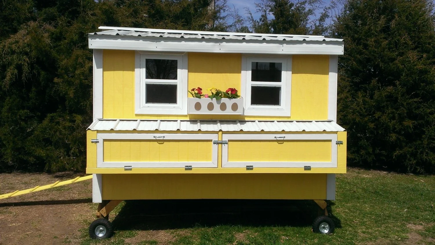small yellow chicken coop on wheels with nesting boxes and windows designed for easy backyard movement