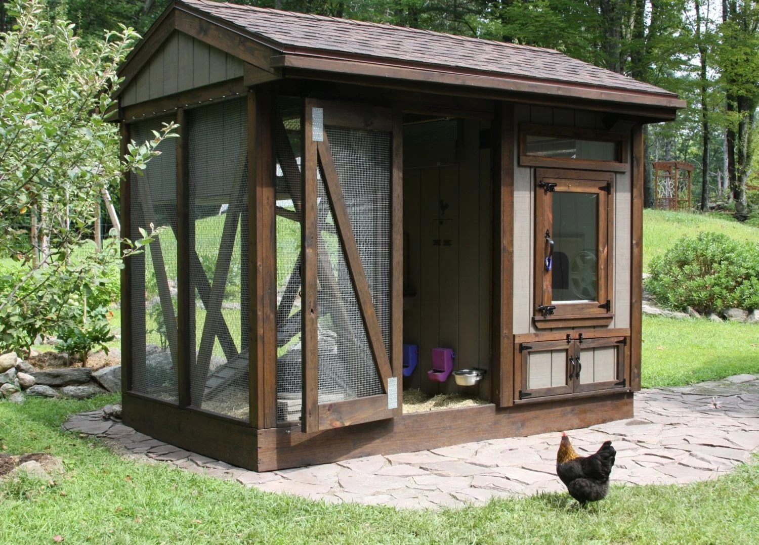 rustic walk in chicken coop with enclosed run and wooden frame in backyard setting
