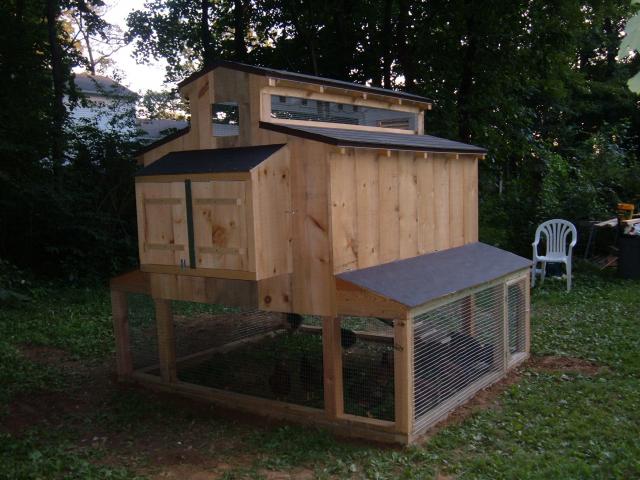simple elevated backyard chicken coop with attached run built from wood in a small outdoor space