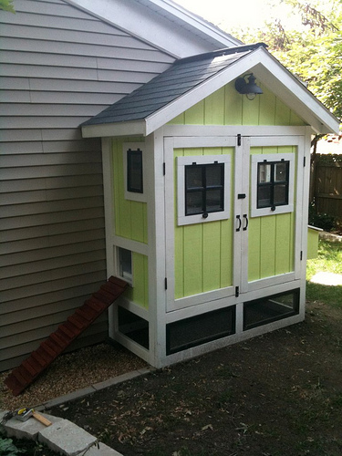 small raised backyard chicken coop with green and white siding and nesting box attached