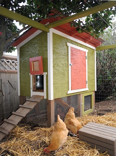 small urban chicken coop plan with elevated structure and ramp in backyard